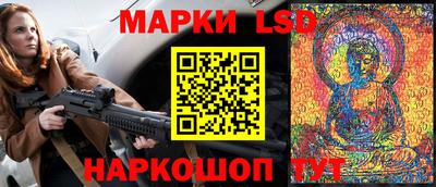 гидропоника Владимир