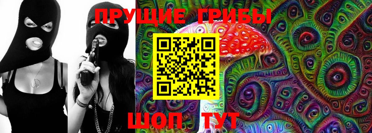 Курчатов  Псилоцибиновые грибы MAGIC MUSHROOMS  Вход с VPN  Псилоцибиновые грибы MAGIC MUSHROOMS 