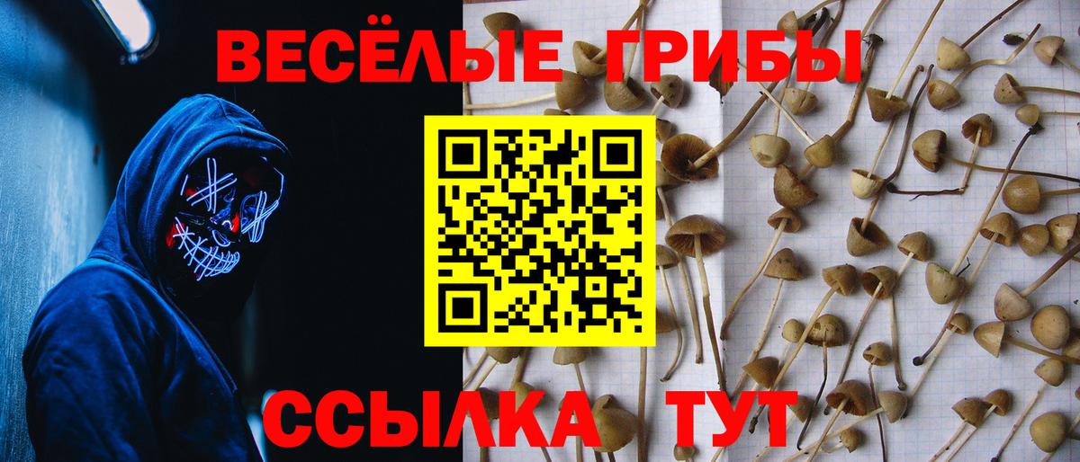 Галлюциногенные грибы мухоморы Курчатов