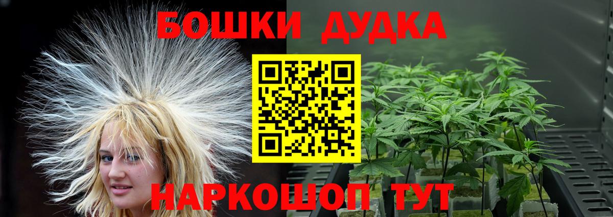 Бошки Шишки конопля  МАРИХУАНА VHQ  Вход с VPN  МАРИХУАНА сатива  Курчатов 